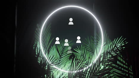 User icons floating inside glowing neon ring, highlighting lush palm fronds and dark studio panels