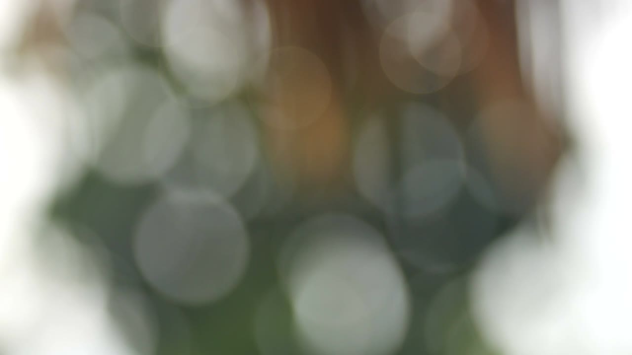 아래로 이동하는 보케 배경