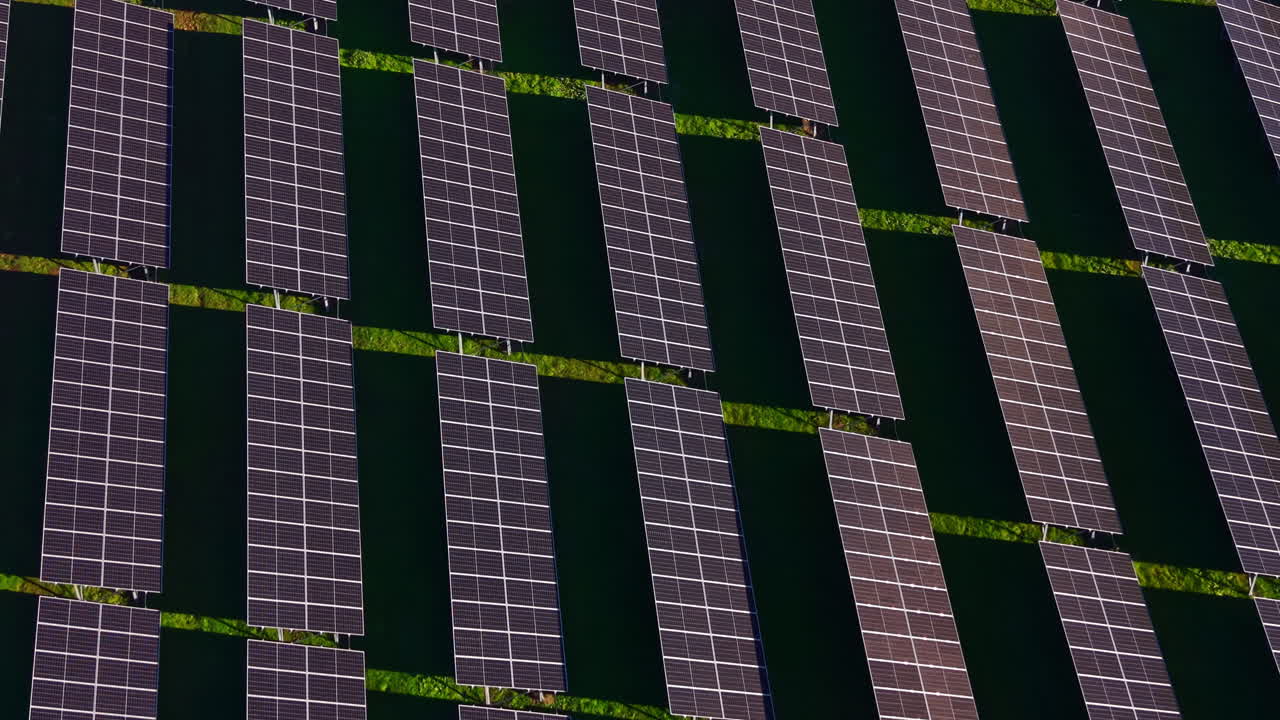 Solar panels stretch across a green landscape under the bright sun, showcasing renewable energy's role in the future of power generation