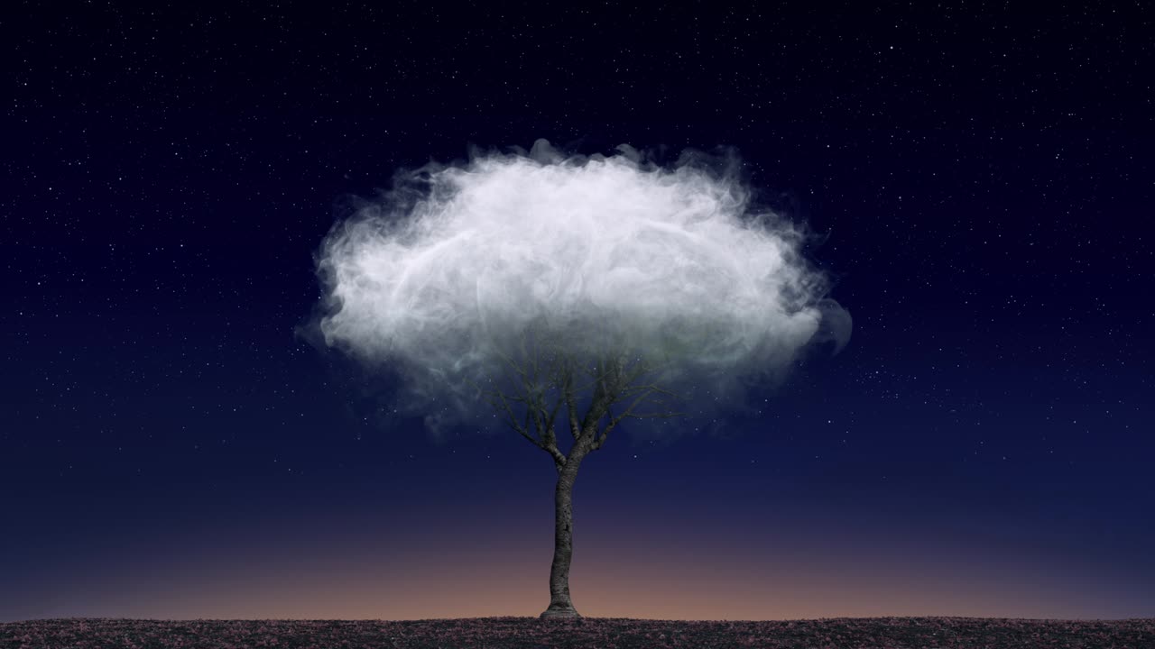 Lonely tree in a cloud on a background of the starry sky, sunset. Loneliness, freedom, independence. Close up, seamless loop.4K