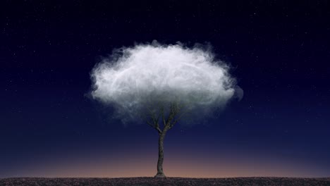 lonely tree in a cloud on a background of the starry sky, sunset. loneliness, freedom, independence. close up, seamless loop.4k