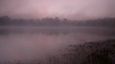 Timelapse-De-Amanecer-Brumoso-Púrpura-Sobre-Un-Lago-Para-B-Roll-Con-Reflejo