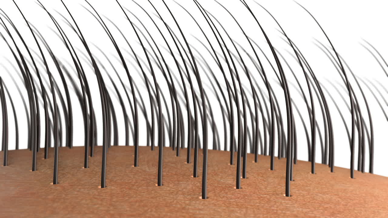 머리카락 성장 기름 뿌리에 떨어지는 머리카락 보살 머리카락을 먹여 살리는 푸 또는 혈청의 작용 손상된 머리카락의 수리