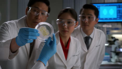 scientists collaborating on an experiment in a laboratory