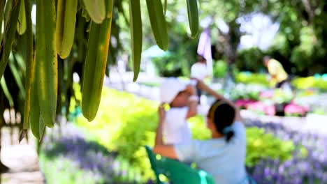 park scene with orchids and people