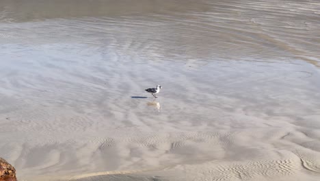 Der-Strand-Bei-Ebbe