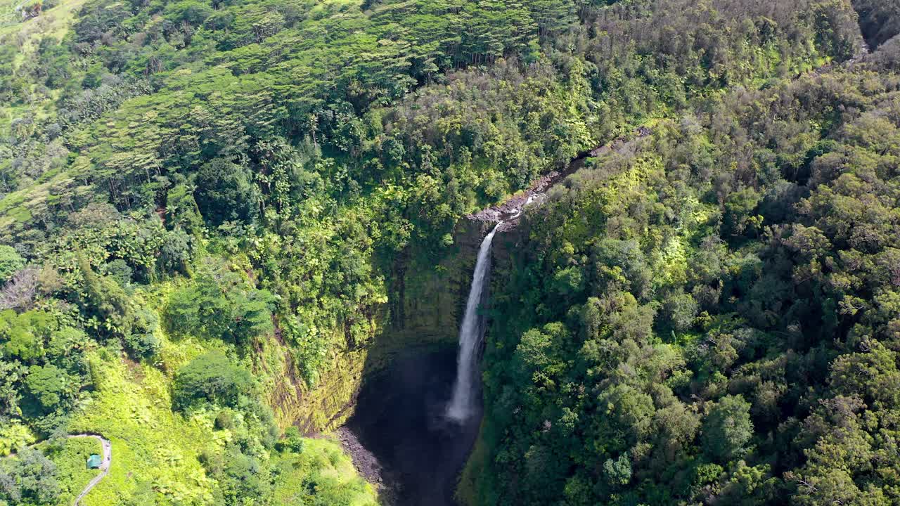Wide aerial view of Akaka Falls in Hawaii, where a tall narrow waterfall drops dramatically into a deep rocky basin, framed by vibrant green rainforest vegetation