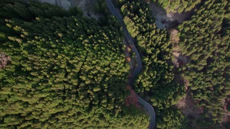 volar sobre las montañas de shikoku en otoño y el camino que conduce a él, con el follaje rojo en japón