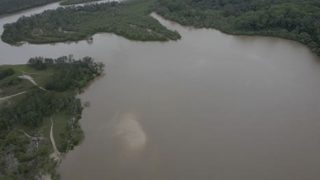 Fliegen-Sie-über-Dichte-Mangrovenwälder-Im-Tallebudgera-Creek-Conservation-Park-In-Burleigh-Heads,-Australien