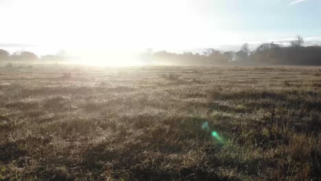 Volando-Bajo-Sobre-Un-Campo-Contra-El-Sol,-Mañana-Tras-Amanecer