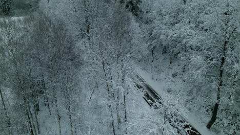 aerial tilt down on car driving along snowy road through winter forest landscape