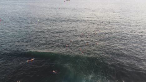 surfers waiting for waves in the water at hawaii