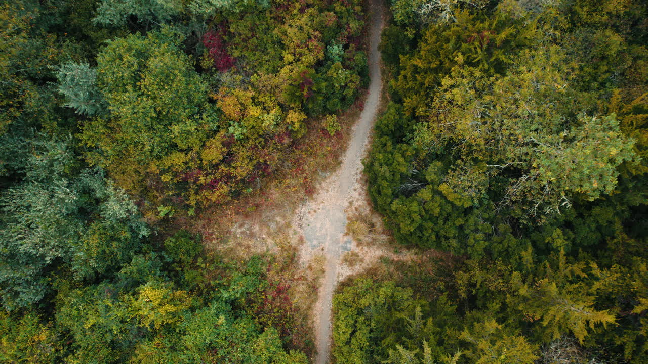 Aerial View of a Forest Path Intersection in Autumn
