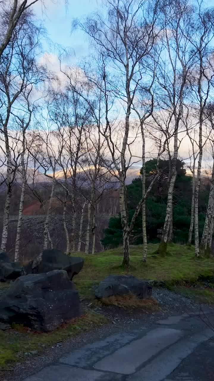 Vertical drone flight backward along a quiet slate path with rocks either side, gradually revealing leafless winter trees and a widening mountain landscape beneath a bright sky with soft clouds