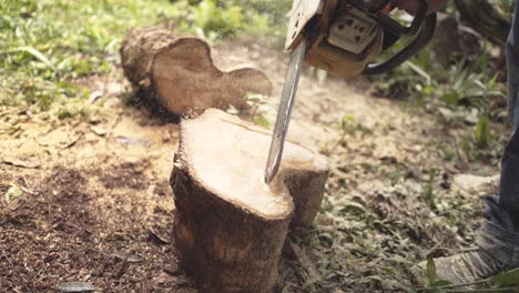 Holzfäller-Kettensäge-Schnitzt-Einen-Baum