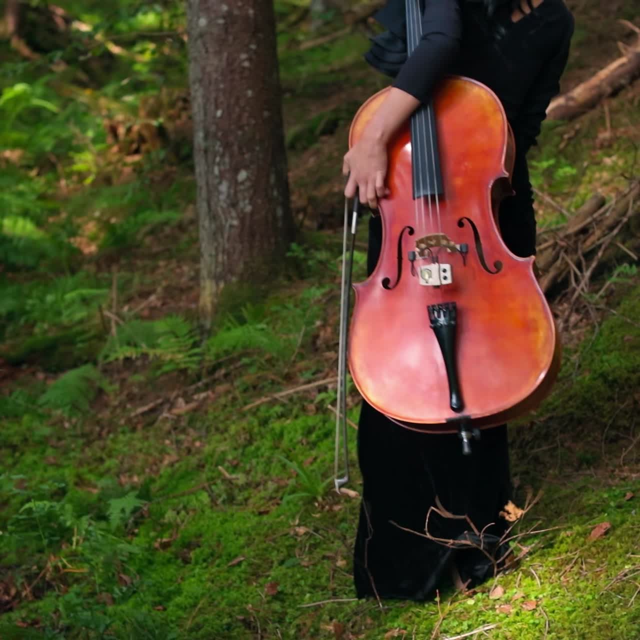 Woman with cello in the forest