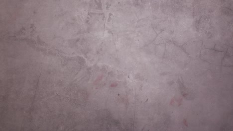 marco amarillo para el texto y los ingredientes de cocina aparecen en el tema oscuro. detener el movimiento