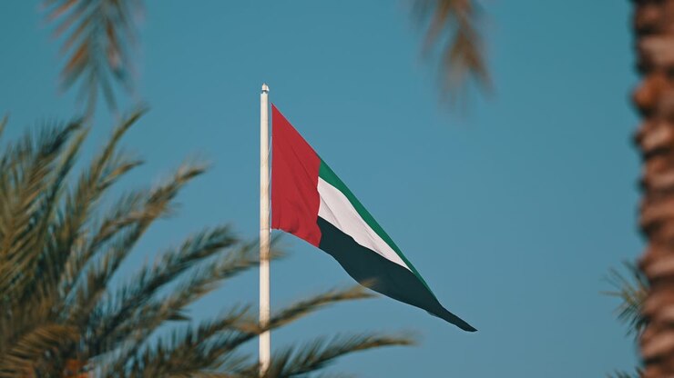 La bandiera degli Emirati Arabi Uniti che sventola sull'asta, incorniciata da palme, all'Isola della Bandiera di Sharjah negli Emirati Arabi Uniti