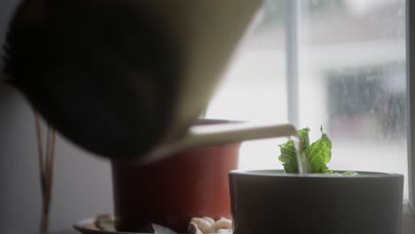 Watering-the-house-plants-with-a-brass-watering-can