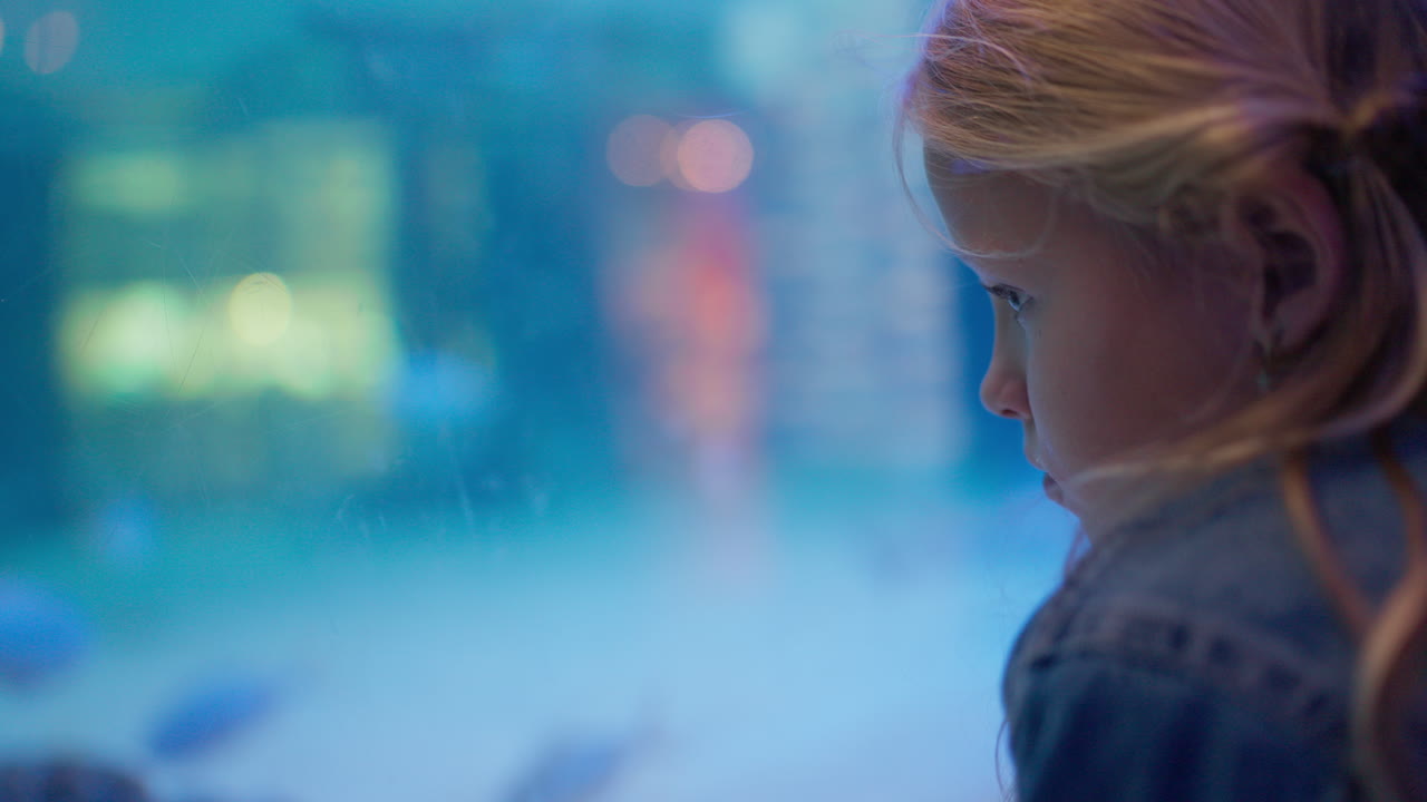 Girl Gazing at Aquarium Fish