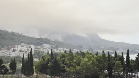 Gelöschter-Waldbrand-Mit-Viel-Rauch