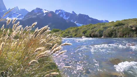 flowing river in los glaciares national park, argentina