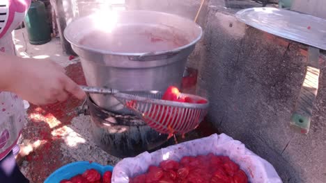 Recogiendo-Tomates-De-La-Gran-Tetera-Hirviendo,-Listos-Para-Conservas