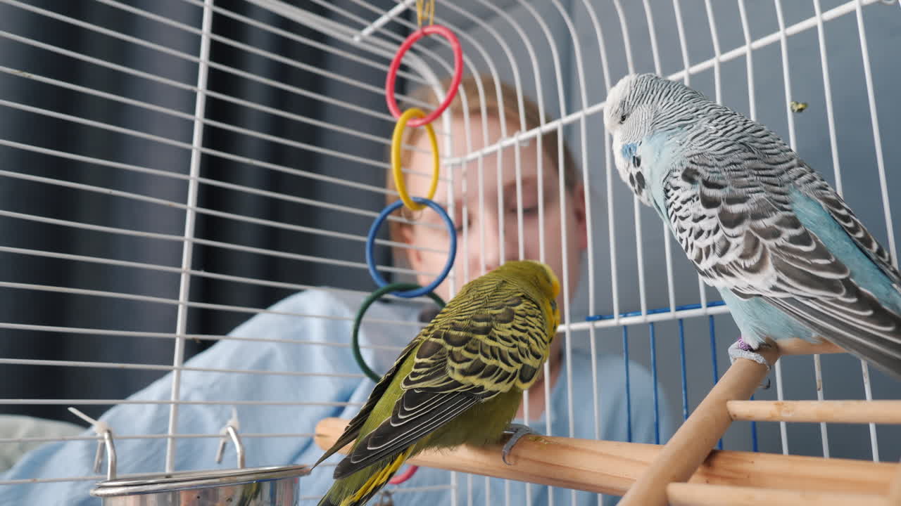 두 마리의 무새가 동굴에