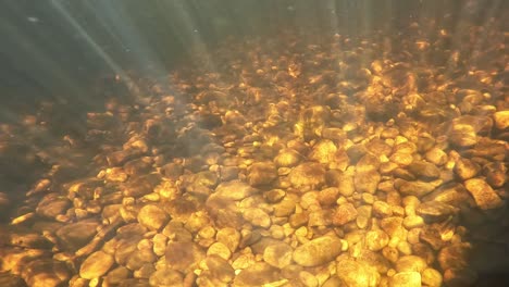 beautiful underwater atmosphere created by the sun beams shining through the clear water in a mountain river