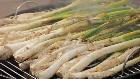 traditional spanish catalan green winter onion calcots, spring green season grill barbecue, vegan bbq with fire in barcelona, catalonia. close up of grilling green onion.