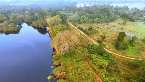 calm river at the picturesque green waterfront. narrow paths go along the nature landscape. aerial view.