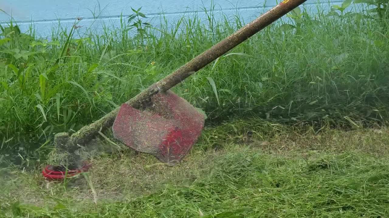 수동 잔디 기기로 잔디를 는 것