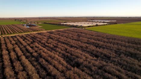 aerial-pullout-almond-grove-near-modesto-california