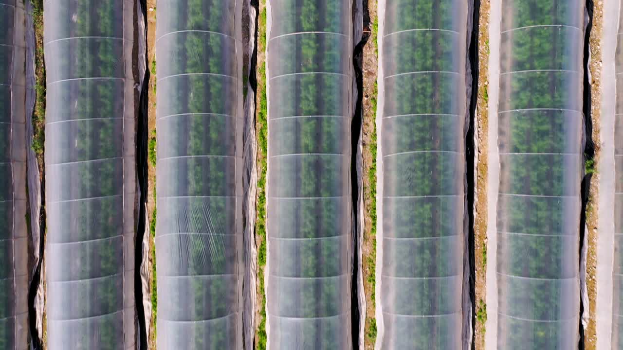 사해 옆 사막에 있는 온실 위를 날고, 이스라엘, 멀리 떨어진 곳에 가까이, 삼각형 지붕 온실, 둥근 지붕 온실, 무인 항공기