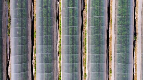 flying over a greenhouse in the desert by the dead sea, israel, close up to long shot pull out, triangle roof greenhouse, round roof greenhouse, drone