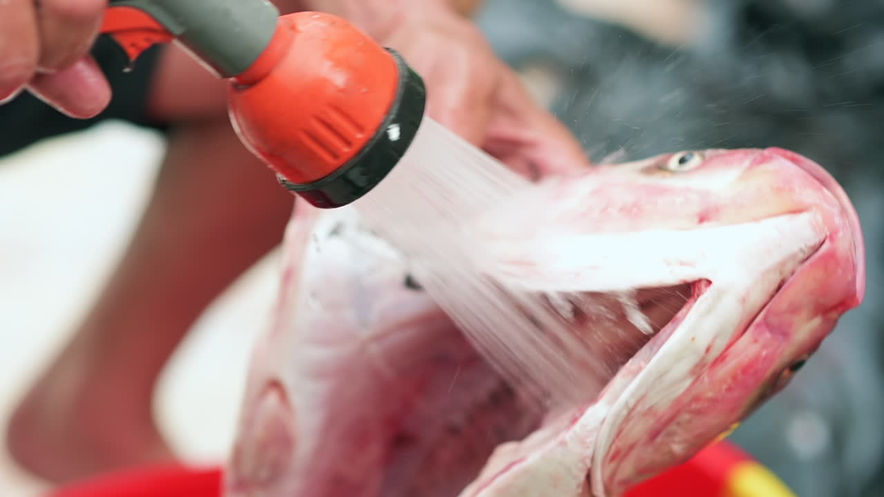 Man washing the inside of a cleaned fish with a water hose