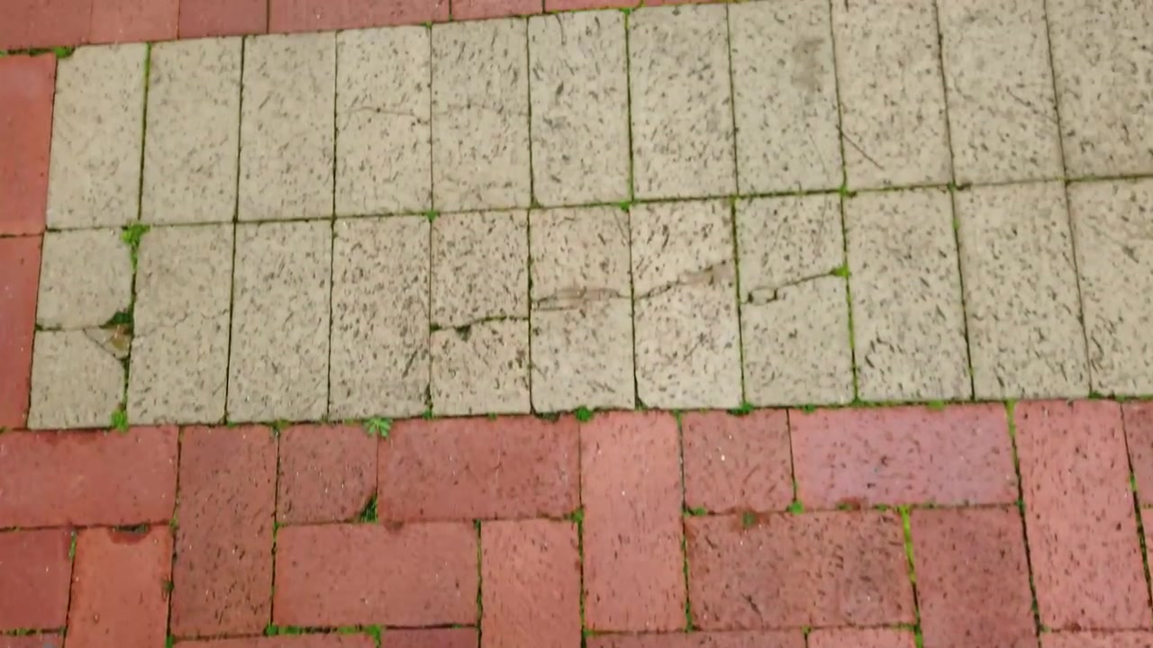 Personal top down point of view of feet walking on a brick pavement. Feet in sneakers stepping forward on a red sidewalk with moss growing