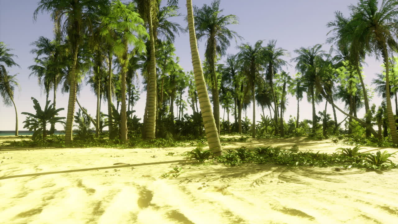 Lush tropical landscape with palm trees under clear sky at beach