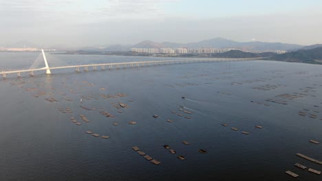 Hong-Kong-Shenzhen-Bay-Bridge-with-Tin-Shui-Wai-buildings-in-the-horizon-and-Fish-and-Oyster-cultivation-pools,-Aerial-view