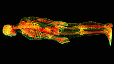 Futuristic-head-up-display-motion-element-virtual-biomedical-holographic-human-body-scan-neurological-examination,-axial-skeleton,-vertebral-column,-DNA-and-heart-diagnostic-for-background-display