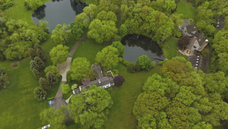 modern households among green nature. lovely mansions in the suburb with tiny private ponds beside. top view.