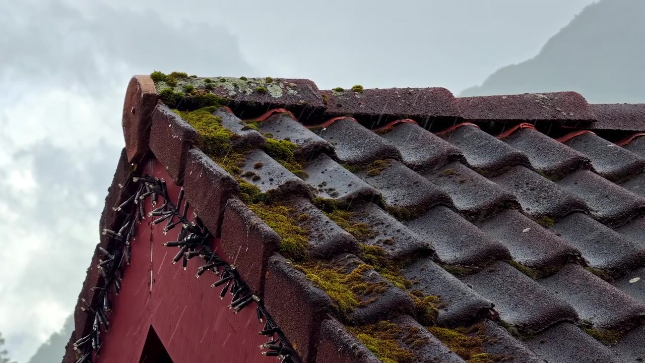 Moss covered roof tiles on traditional building in Aurland Norway
