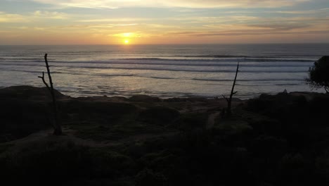 experience the blend of nature as the drone shot glides between two branches before diving into the ocean straight into the sunset