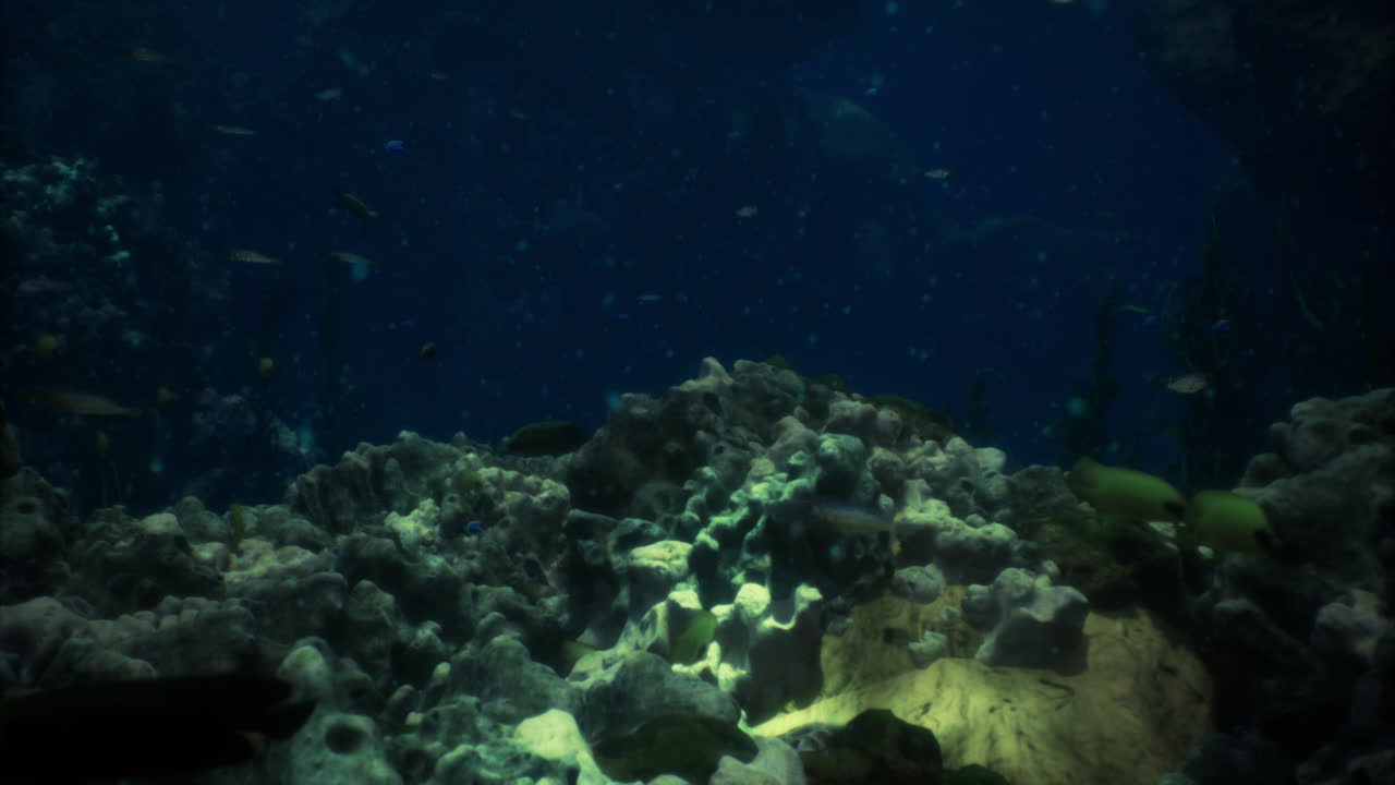 Underwater exploration reveals vibrant marine life and colorful corals