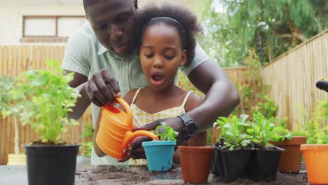 Video-Eines-Afroamerikanischen-Vaters-Und-Seiner-Tochter,-Die-Pflanzen-Pflanzen