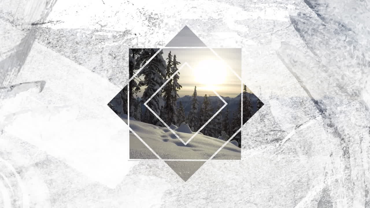 en la nieve del bosque a través del primer plano en forma de estrella blanca