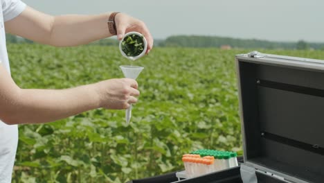 laboratory worker holding professional glassware and testing plant sprouts before harvest in the field.