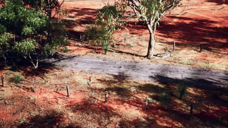 un camino de tierra a través del interior de australia