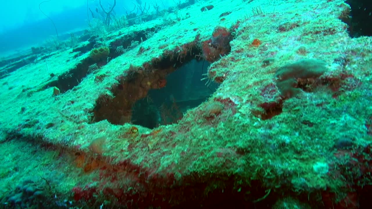 깊은 비앙카 c 난파선의 활
