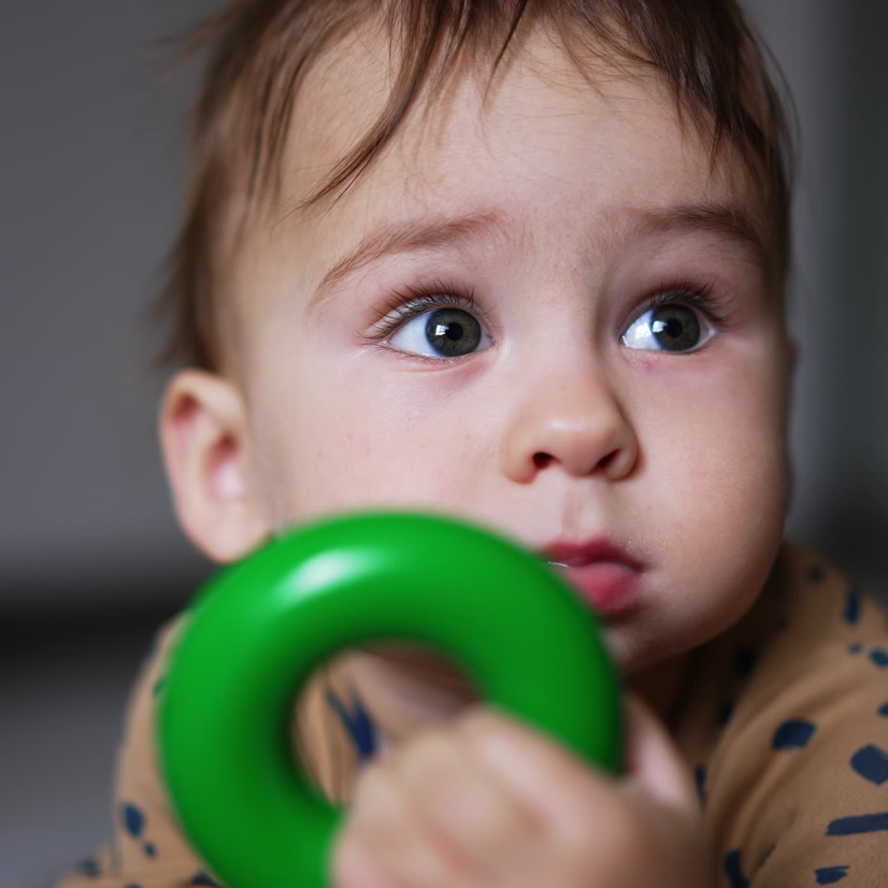 Cute little kid with lovely cheeks lies on the floor holding a toy. Baby takes a toy into his mouth. Close up. Blurred backdrop